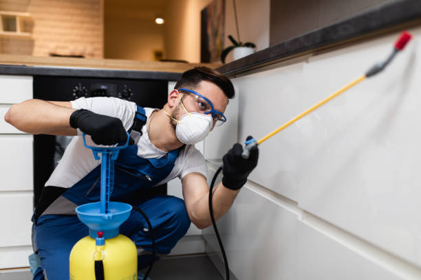 Best Pest Inspection Near Me  in Groesbeck, OH