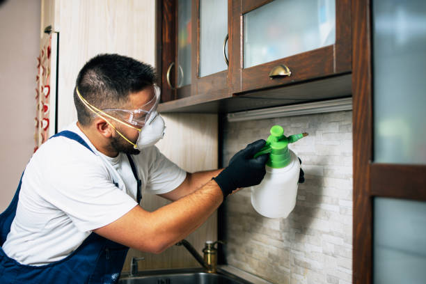 Best Affordable Pest Control Services  in Groesbeck, OH