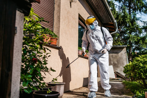 Best Commercial Pest Control Services  in Groesbeck, OH