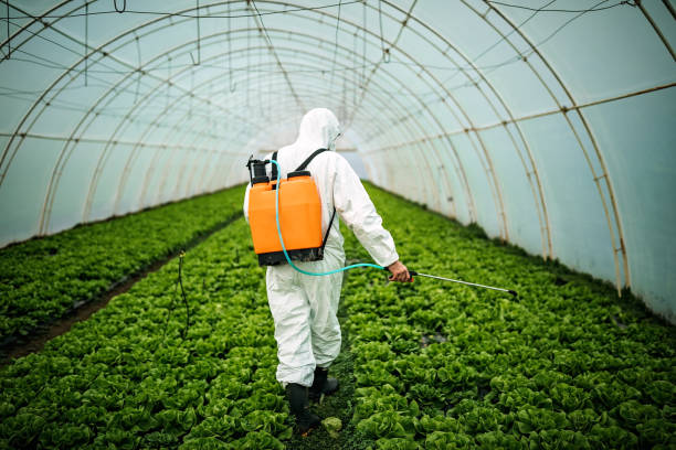 Pest Prevention Services in Groesbeck, OH