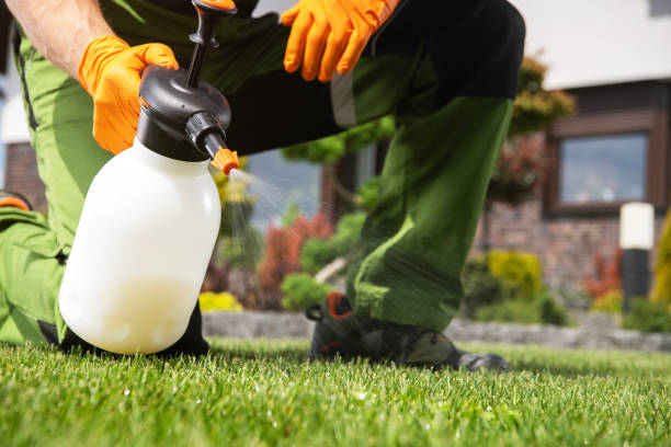 Pest Control for Restaurants in Groesbeck, OH