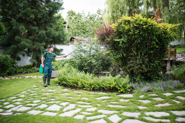 Best Wasp Removal Services  in Groesbeck, OH