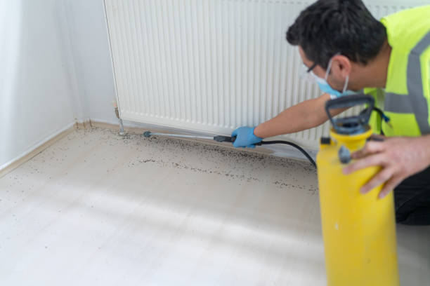 Best Local Pest Control Services  in Groesbeck, OH