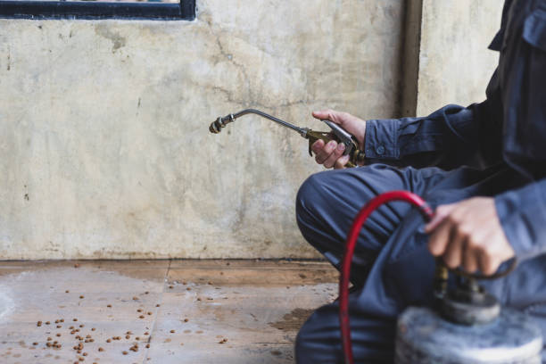 Best Best Pest Control Companies  in Groesbeck, OH